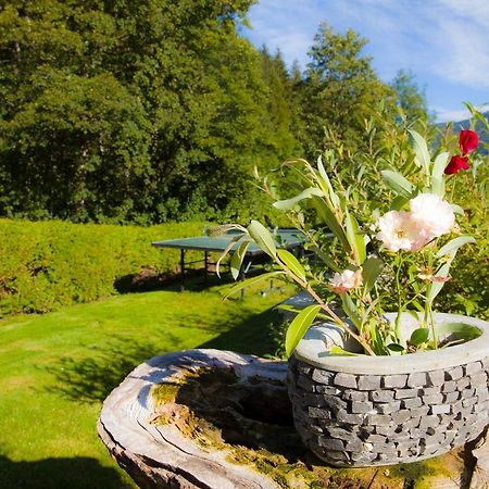 Appartement Heidi By Schladmingurlaub Ramsau am Dachstein Eksteriør billede