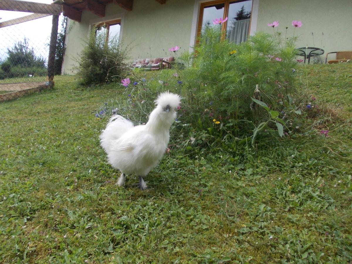 Appartement Heidi By Schladmingurlaub Ramsau am Dachstein Eksteriør billede