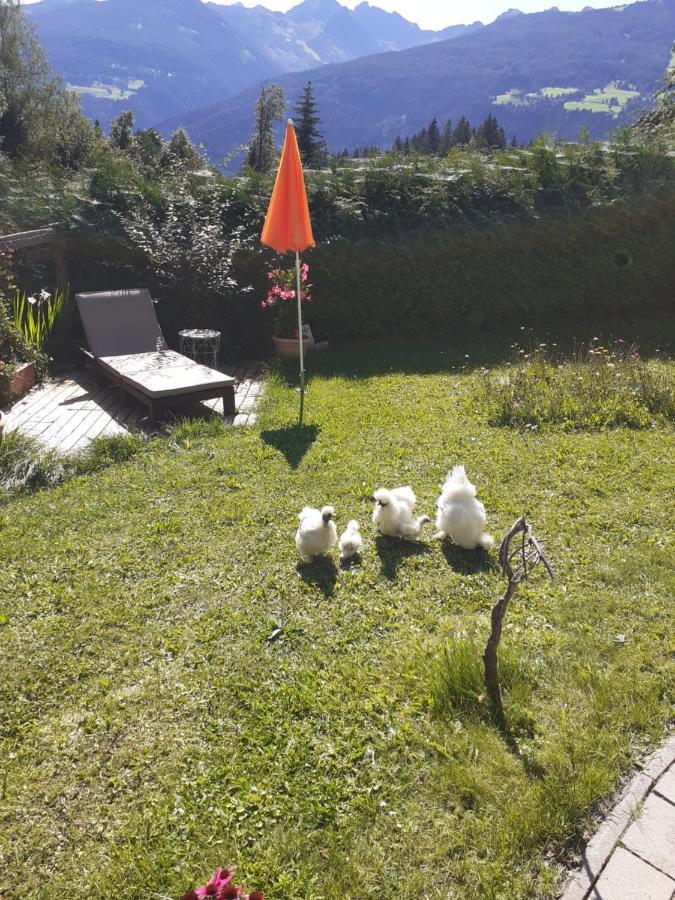 Appartement Heidi By Schladmingurlaub Ramsau am Dachstein Eksteriør billede